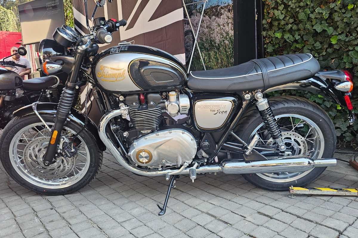 triumph icon 2