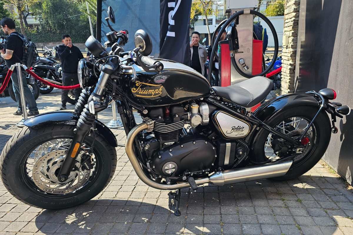 triumph icon 5