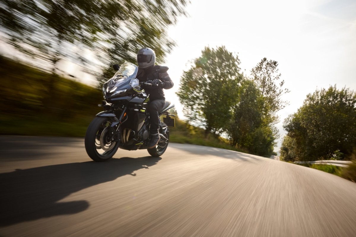 triumph tiger sport 800 2025 1