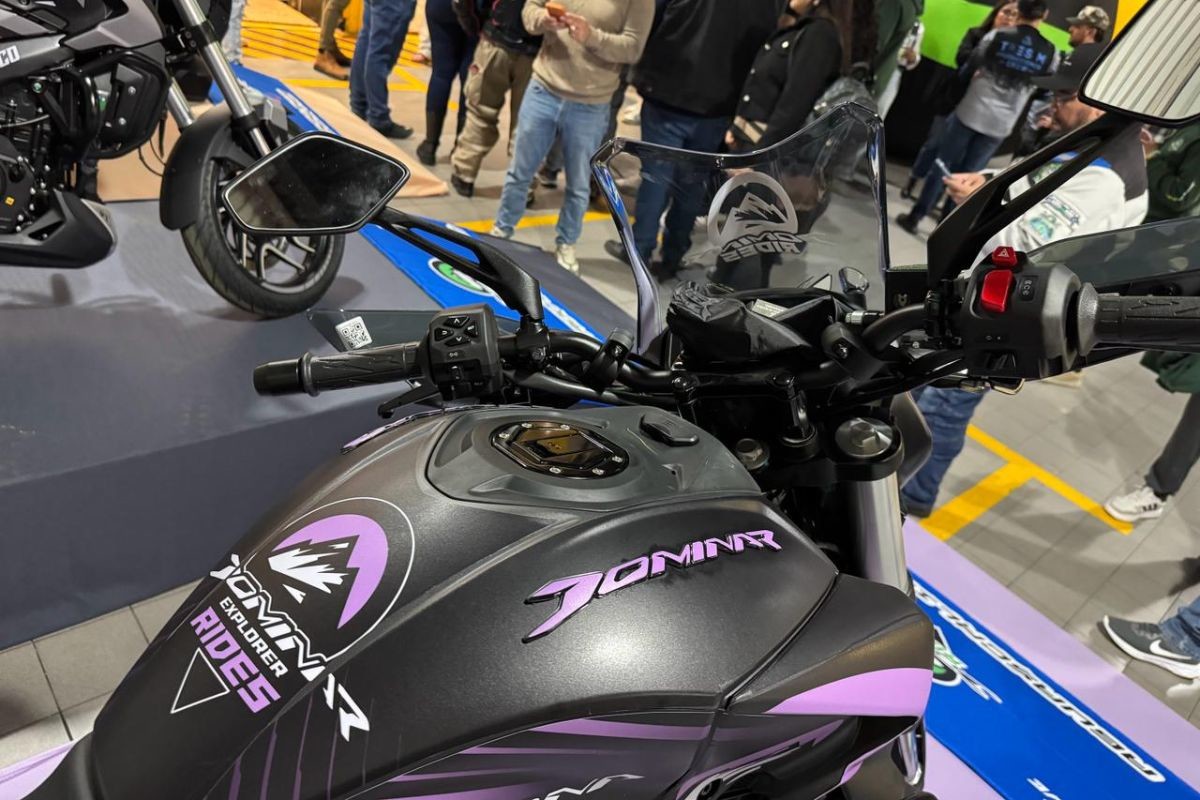 dominar rides 6