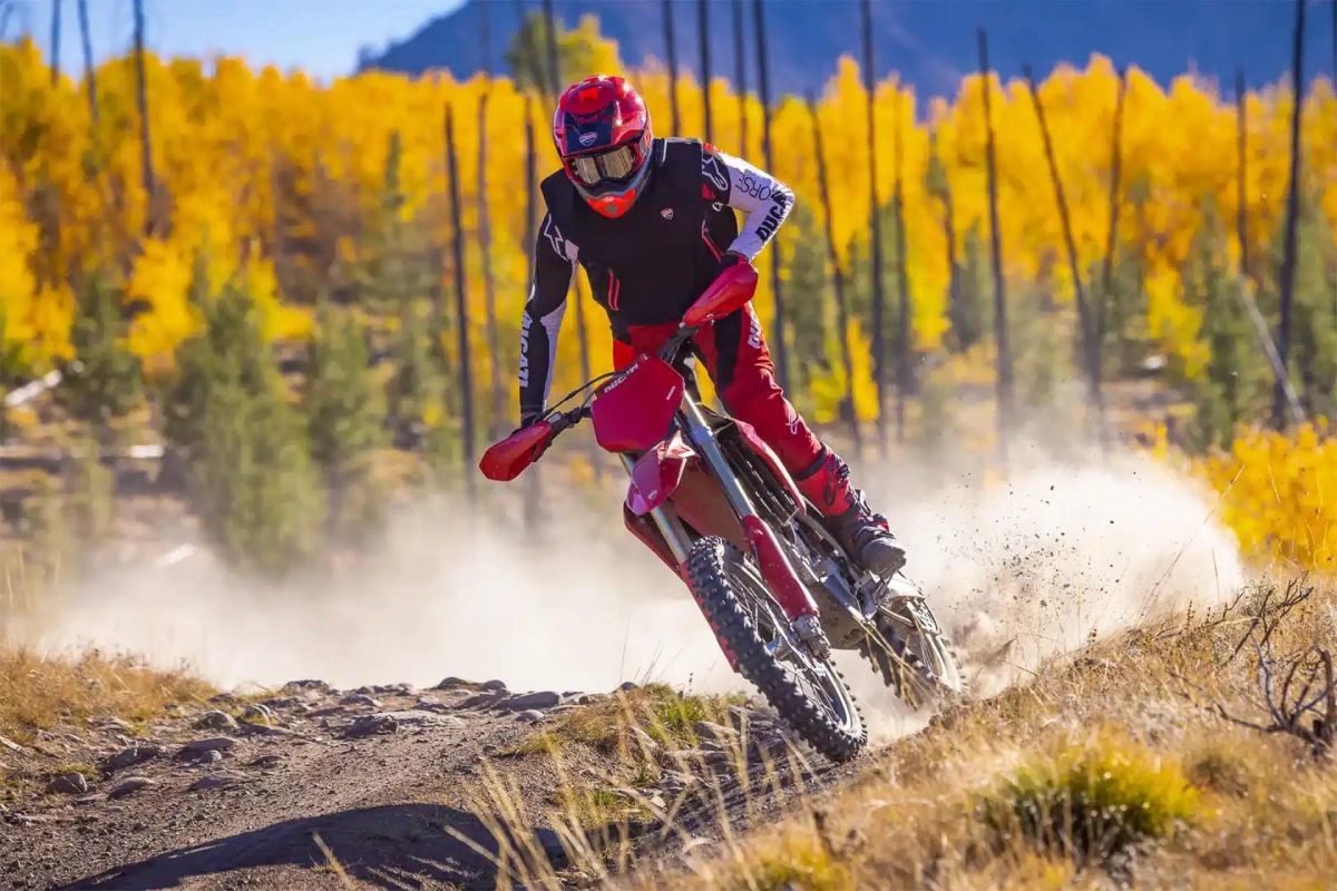 ducati desmo450 edx 2