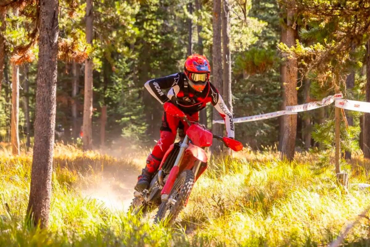 ducati desmo450 edx 3